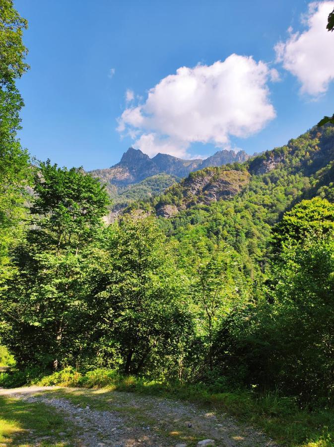 La Casa Del Busso Bed & Breakfast Boccioleto ภายนอก รูปภาพ